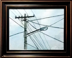 The picture of an electric pole, a street light, and cables